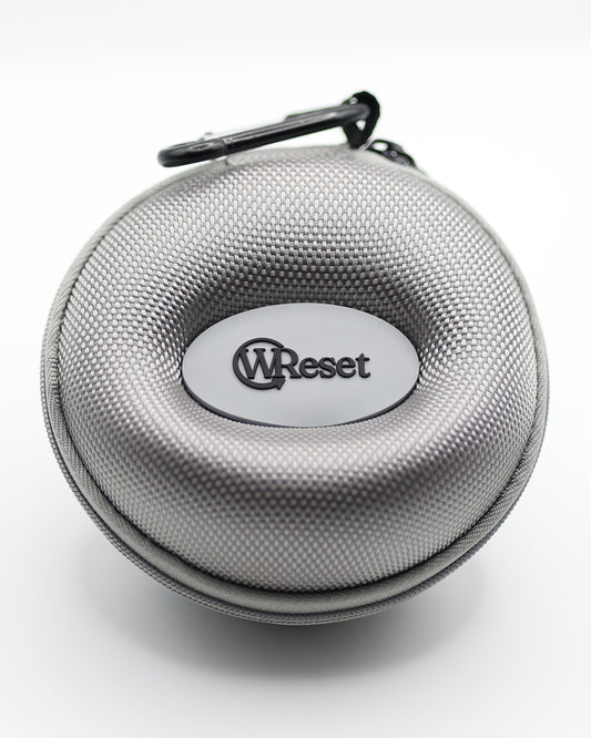 Traveling Case - 1 Slot (Silver)